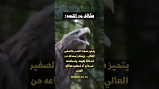 صوت النسر حقائق ومعلومات 
