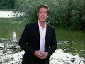 Steve Irwin Dies