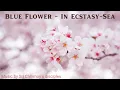 Lagu Blue Flower - In Ecstasy-Sea | Sri Chinmoy | Spiritual music | Meditation music
