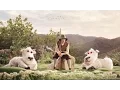 Download Lagu Watsky- Stick to Your Guns ft. Julia Nunes [x Infinity]