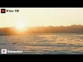 Download Lagu Lagu Timur Luka Terindah (Lirik)