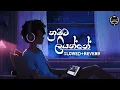 Lagu නුඹට ලියන්නෙ -  Numbata Liyanne @slowed + reverb tik tok trending  @alfa_beats-64d