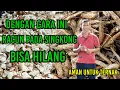 Download Lagu Cara Mengolah Singkong Menjadi Pakan Ternak Kambing,Cocok Untuk Penggemukan.