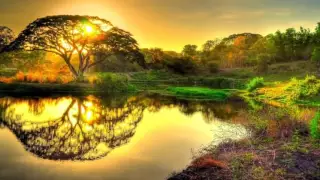 بل غوها إذا أتيتم حماها أنني مت في الغرام فداها 