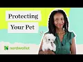 Is Pet Insurance Really Worth it NerdWallet