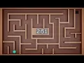 MAZE 3 Minute Timer
