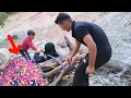 Download Lagu Harvesting mountain pistachios from the mountain by a brave woman and her children