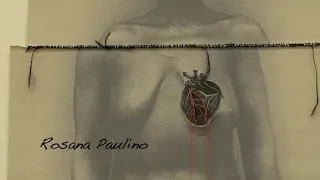 A Costura da Memória - Rosana Paulino.