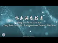 Lagu Yáng Shì Hǎi Dǐ Lāo Yuè TJJY HDLY (Yang Style Scoop Up the Moon from Beneath the Sea)