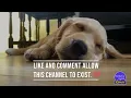 Глубокий низкочастотный белый шум от кондиционера + «коричневый шум» – спите лучше всю ночь ⭐
