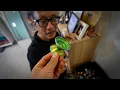 my Dad reviews my new yoyos