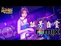 Download Lagu 杨小壮 - 孤芳自赏【DJ REMIX 舞曲】Ft. K9win 抖音热爆