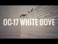 Benjamin Moore White Dove BEST WHITE PAINT COLORS