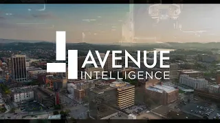Avenue Insights - Foot Traffic Data and Analytics