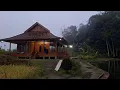 Lagu Hidup di desa, menginap di rumah kayu saat musim hujan sangat hangat