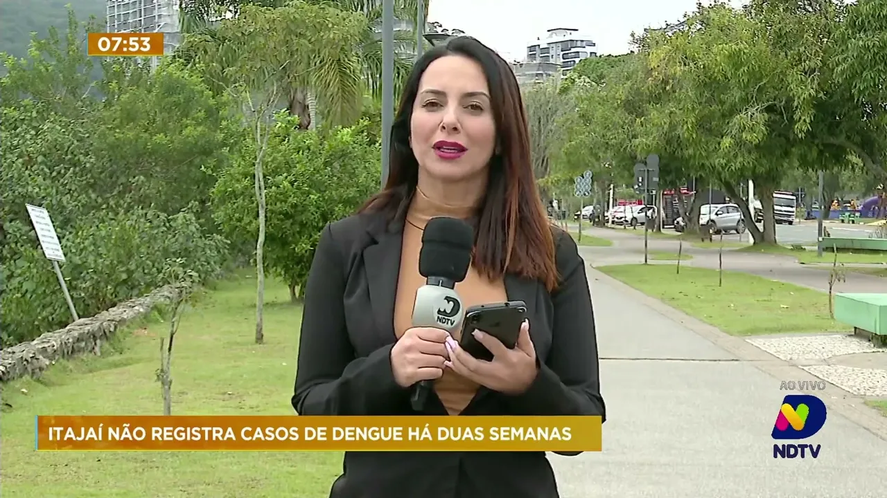 Itajaí não registra casos de dengue há duas semanas