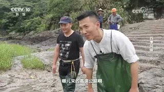 烹饪小海鲜的首要秘诀就是要趁着新鲜 尽快处理《味道》 20260905 | 美食中国 Tasty China