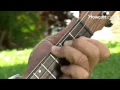 How to Play a B Flat Chord Ukulele Lessons