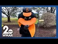 Lagu How to spot an Oriole Bird