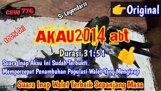 inap akau2014 abt 31 51 ini yg asli yg dicari petani walet dijamin tanpa jeda