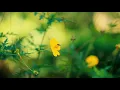 Rinne Tú (You Made) - Moya Brennan