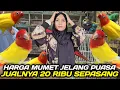 Lagu UPDATE HARGA BURUNG LOVEBIRD \u0026 WARNA CANTIK JELANG PUASA DIKIOS PASAR BURUNG PRAMUKA