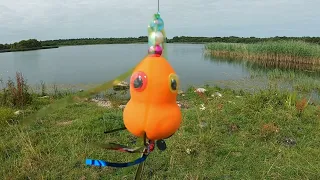 Baby pumpkin 😲 for hungry fish 😜