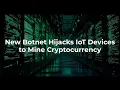 PumaBot The New Botnet Targeting Linux IoT Devices