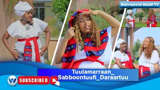 Tuulamarraan Sabboontuufi Daraartuu Elsaa Nugusee Afaan Oromoo Music Shirrishirrii Waliif TV 