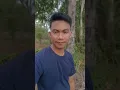 Download Lagu Pantun beli manggis sama kedondong #lucu #viral #shorts