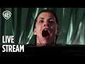 Download Lagu 🔴 LIVE: Final Destination 💀 | Iconische enge scènes | Warner Bros. Entertainment