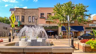 See Downtown Forest Park Illinois USA Dashcam