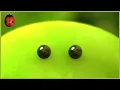 Download Lagu The Caterpillar and the Brook 🐛 Minuscule 🍃 70' Compilation
