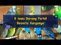 Download Lagu 8 Jenis burung parkit beserta harganya