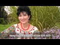 Download Lagu Neta soare - Trece viata an de an (Official Audio)
