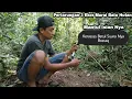 Download Lagu KETEMU LOKASI NYA MURAI BATU HUTAN || DAPAT YANG ISTIMEWA