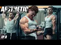 HOW TO BUILD AN AESTHETIC BODY NO BS GUIDE