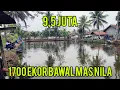 Lagu INI NIKMATNYA MANCING BORONGAN‼️Harga menyesuaikan ikan di kolam 1700 ekor bawal, mas nila