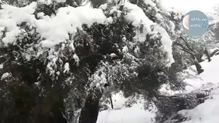 رجعت الشتوية فيروز بدون موسيقى 