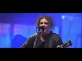 THE CURE - FRIDAY I'M IN LOVE (40 LIVE - CURÆTION-25 + ANNIVERSARY)