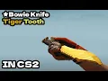CS2 Bowie Knife - Tiger Tooth CS2 Knife Showcase
