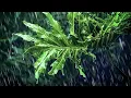 Download Lagu White Noise Rain Sounds for Sleeping \u0026 Relaxation