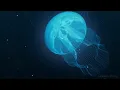 ☆ 8 HOURS ☆ UNDERWATER SOUNDS with MUSIC ♫ ☆ NO ADS ☆ Relaxing Sleep Music, Stress Relief