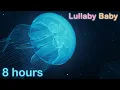 Download Lagu ☆ 8 HOURS ☆ UNDERWATER SOUNDS with MUSIC ♫ ☆ NO ADS ☆ Relaxing Sleep Music, Stress Relief