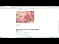 WebApp Image Classification