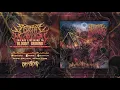 Download Lagu SEDERAI MUTILATION - Bloody Ground (Feat Januaryo Hardy - Perverted Dexterity) MP3