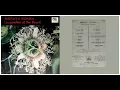 Download Lagu NOORMADIAH - Ditelan Pahit Dibuang Sayang (1960s)