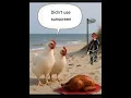 Funny Memes Puns Jokes Episode 534 TRY NOT TO LAUGH BIG Compilation Best On the Internet
