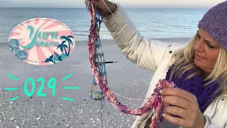 Yarn on the Beach 029 with Magnificent Dolphin Show