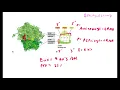 Cell Biology Lecture 3 tRNA Protein Translation